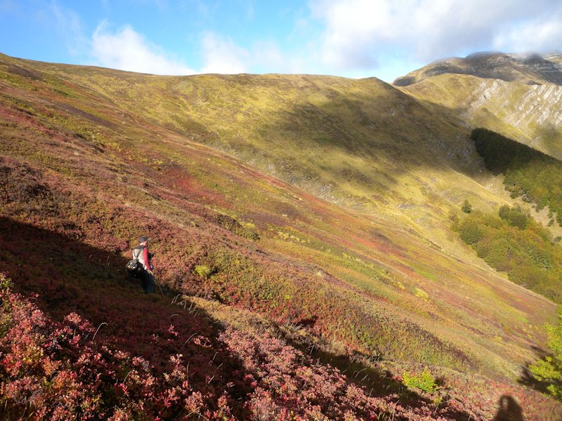 Ottobre tra gli edulis!!!!